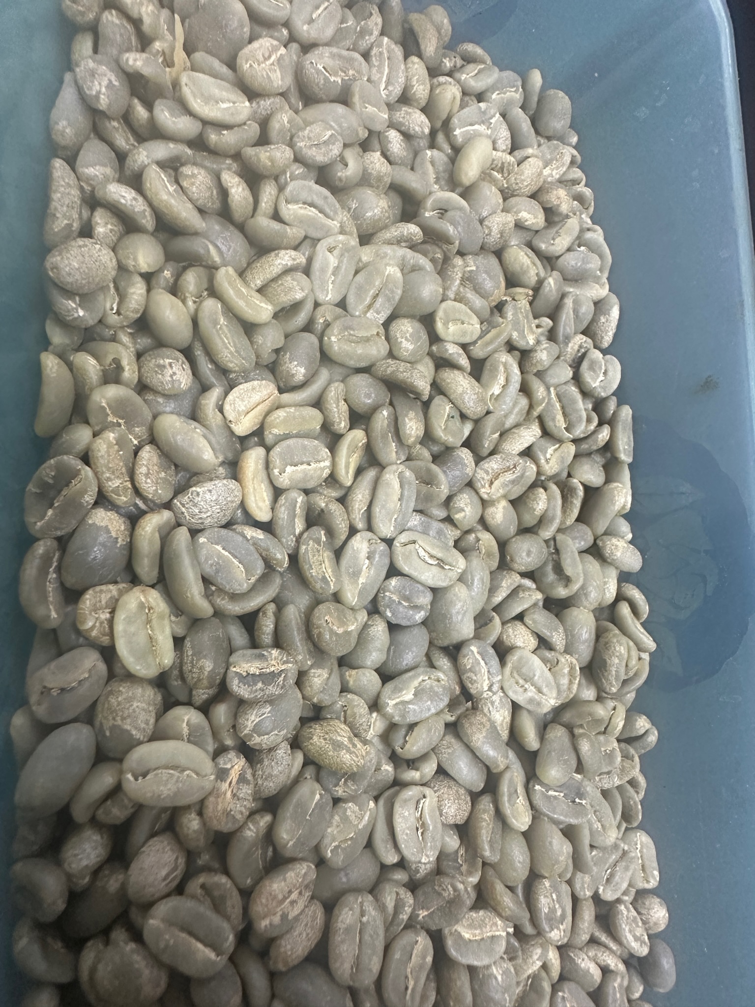 Mr. Capacho Coffee