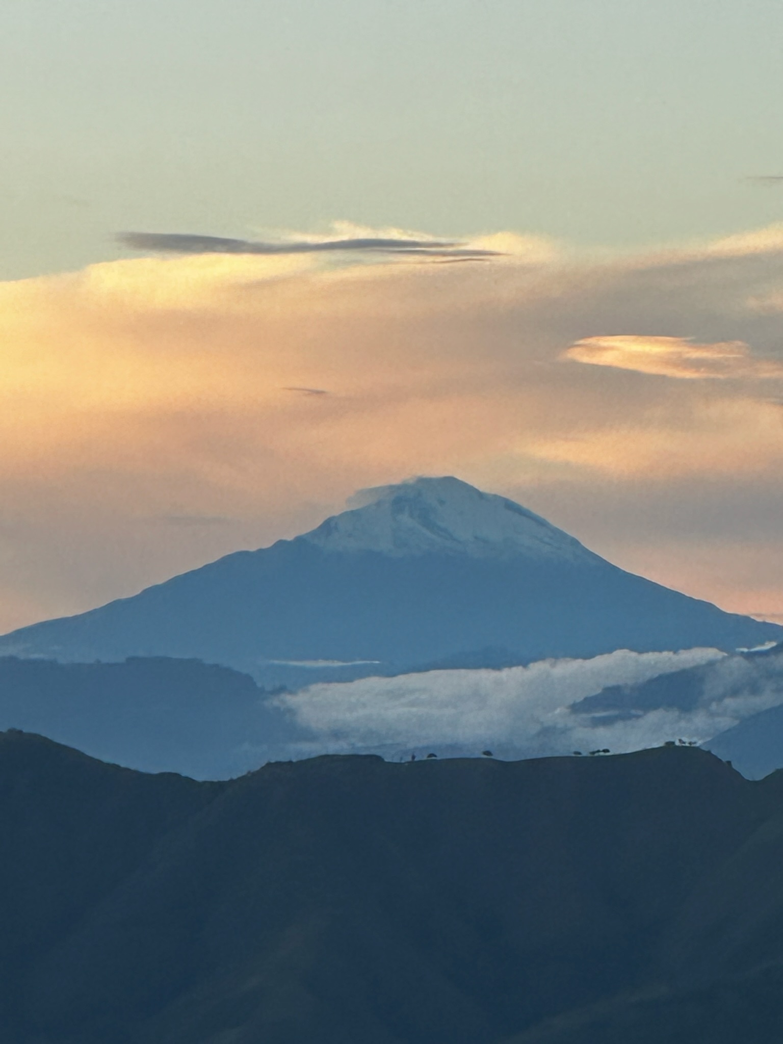 Montañas del Huila — Mr. Capacho Coffee